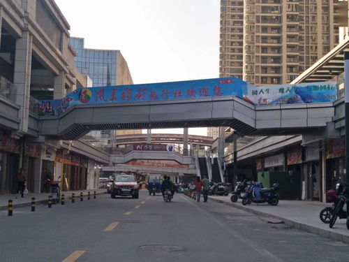 節日奮斗，風景獨好——廣信營業部盛大開業，多重優惠產品傾情上線