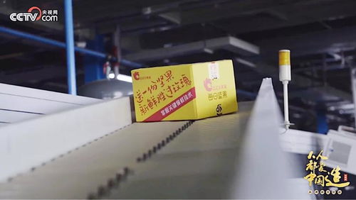 央視再訪洽洽透明工廠 揭秘“新鮮”密碼，看洽洽如何以網絡技術服務引領行業變革