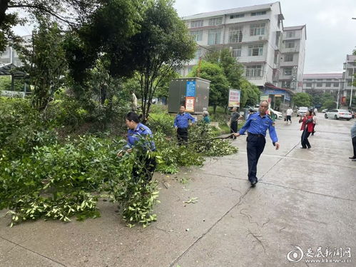 剪除隱患送清涼，修出社區新風貌——婁底市城管執法支隊住建大隊黨支部主題黨日側記